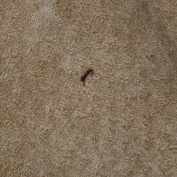 Tan leather blazer jacket bought in Paris size Small - Picture 7 of 8